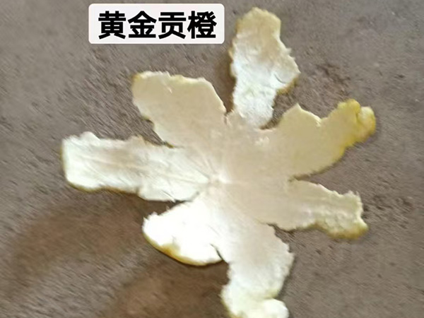 黄金贡橙
