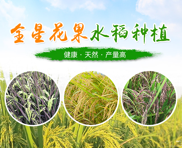 洪江花卉种植_洪江市全星花果研发有限公司